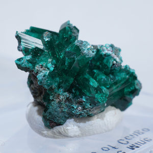 コンゴ Reneville Mine 翠銅鉱