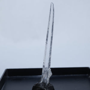 メキシコ産 Nifontovite