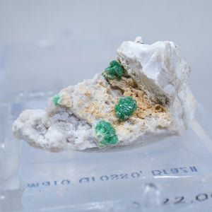 ブラジル産 Variscite バリシア石