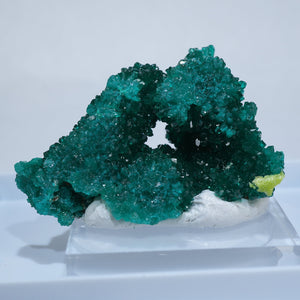 コンゴ Reneville Mine 翠銅鉱