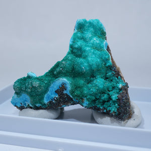 チリ産 Atacamite・Dioptase