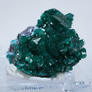 コンゴ Reneville Mine 翠銅鉱