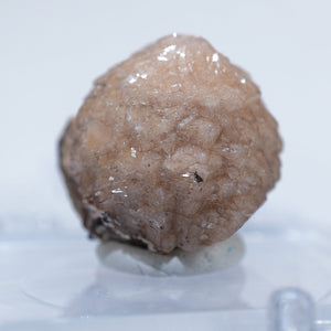 《蛍光》南アフリカ産  Poldervaarite ポルダーバート石