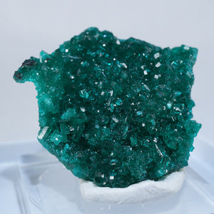 コンゴ Reneville Mine 翠銅鉱