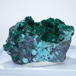 チリ産 Brochantite・Chrysocolla