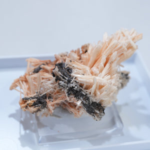 アメリカ アリゾナ州産 Cerussite