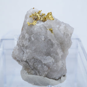 カナダ産 自然金Gold・水晶