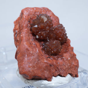 スペイン産 Quartz var. Jacinto de Compostela Gypsum
