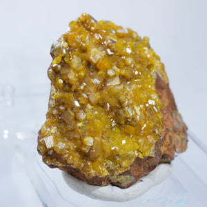 コンゴ産 Pyromorphite 緑鉛鉱