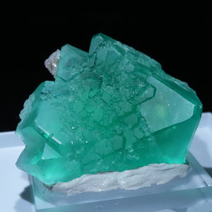 ペルー Milpo Mine フローライト