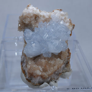 イラン産 Celestine