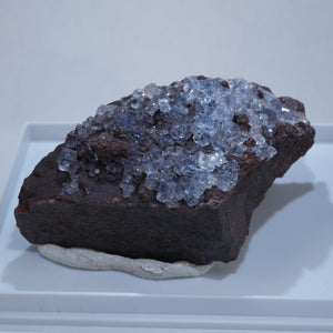 イギリス Florence(フローレンス)Mine産 フローライト