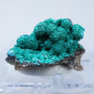 チリ産 Atacamite・Dioptase