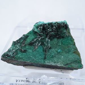 チリ産 Atacamite・Chrysocolla