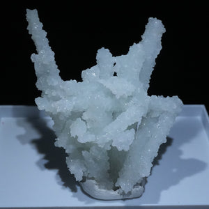インド産 Prehnite after Laumontite