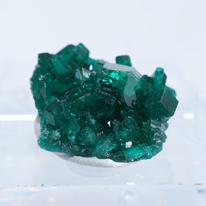 コンゴ Reneville Mine 翠銅鉱