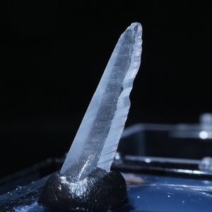メキシコ産 Nifontovite