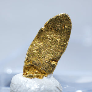 カナダ産 Gold 自然金