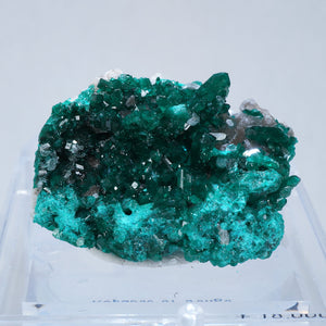 コンゴ Reneville Mine 翠銅鉱