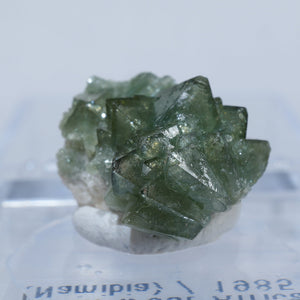 Tsumeb Mine アダム石(アダマイト)