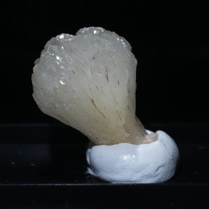 スコットランド産 Stilbite