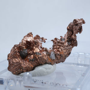 ミシガン州産 Native Copper(自然銅)