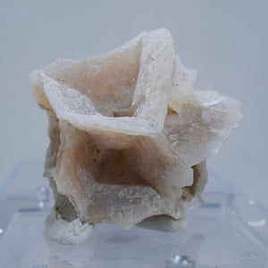 サウスダコタ州産　Chalcedony after Siderite