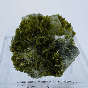 スペイン産　Clinozoisite・Quartz