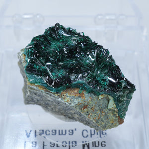 チリ産 Atacamite
