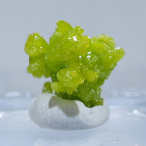 中国 広西省産 緑鉛鉱 Pyromorphite　