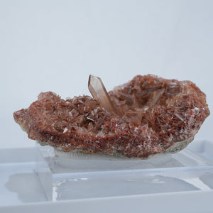 トルクメニスタン産 Celestine・Hematite