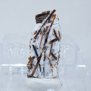 ロシア産 Astrophyllite