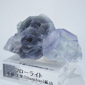 【鉱物商店】上堡蛍石　フローライト　原石　天然石 鉱物商店】上堡蛍石フローライト原石天然石