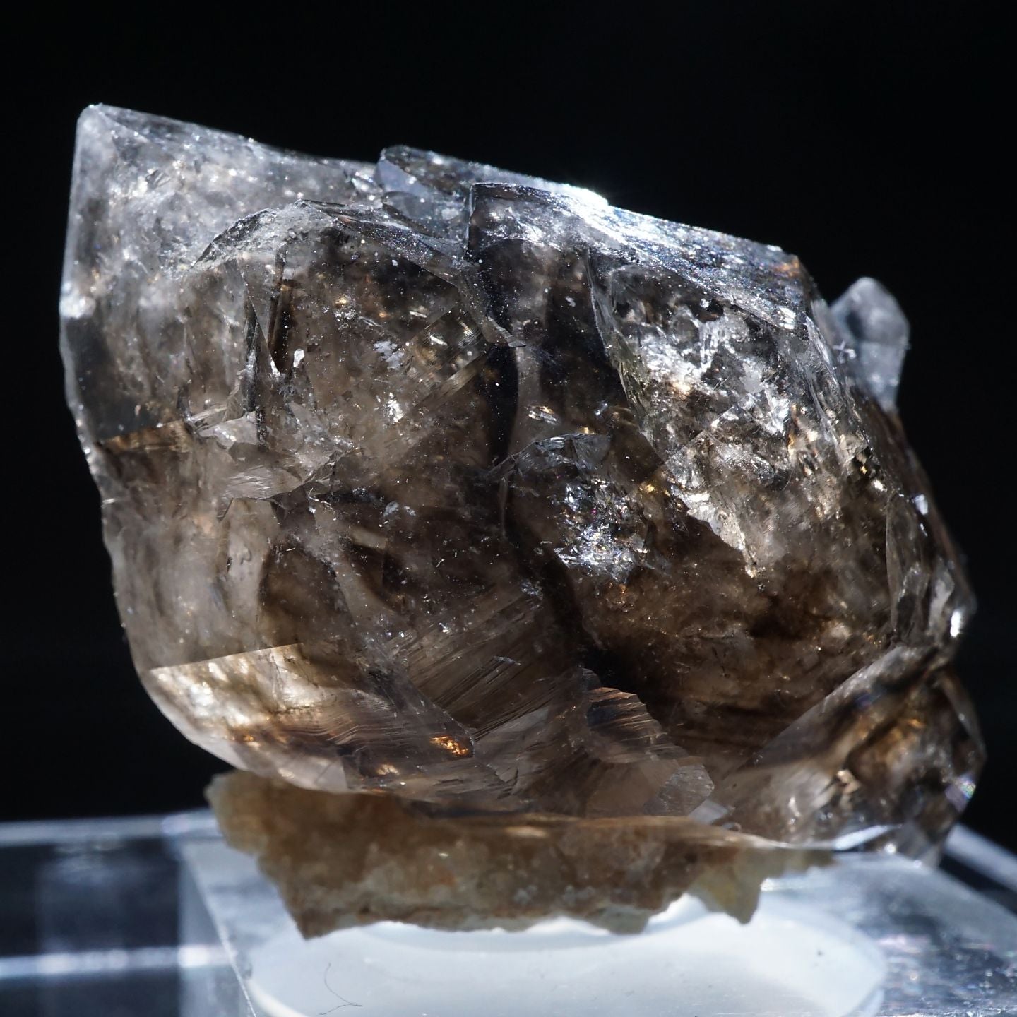 91635-7_1440x.jpg?v=1686026338