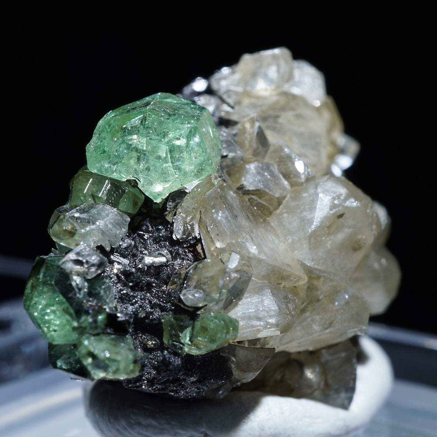 91647-3_1440x.jpg?v=1686027280