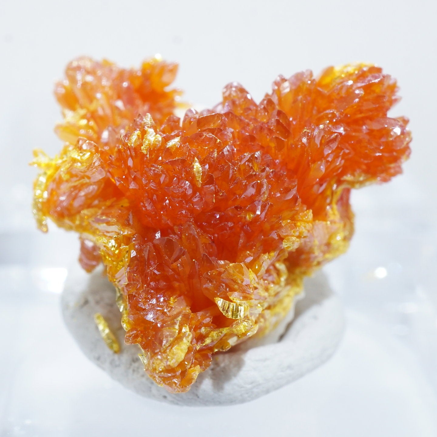 91827-2_1440x.jpg?v=1695958703