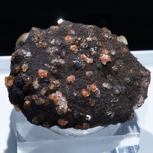 イギリス産　Quartz on Hematite