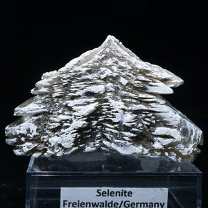 ドイツ産 Selenite
