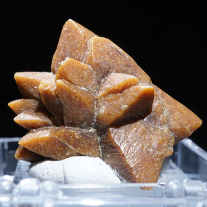 《蛍光》ロシア産 Glendonite(calcite after ikaite)