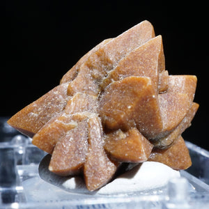 《蛍光》ロシア産 Glendonite(calcite after ikaite)