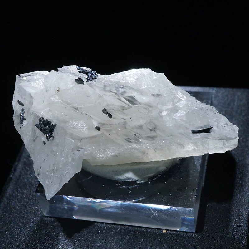 92011-2_800x.jpg?v=1701915874