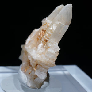 スペイン産 Cerussite(白鉛鉱)