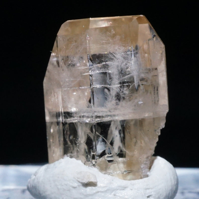 92046-7_800x.jpg?v=1702626185