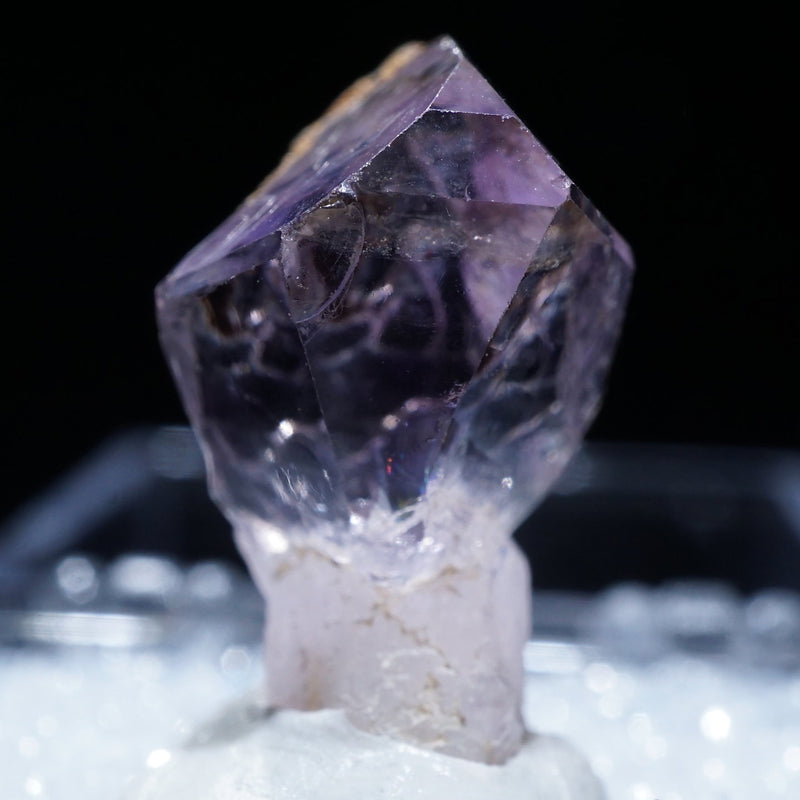 92264-2_800x.jpg?v=1708406095