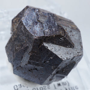 コロンビア産 Goethite after Pyrite (パイライト仮晶) 十字貫入双晶