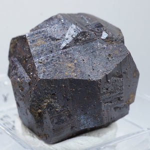 コロンビア産 Goethite after Pyrite (パイライト仮晶) 十字貫入双晶