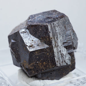 コロンビア産 Goethite after Pyrite (パイライト仮晶) 十字貫入双晶