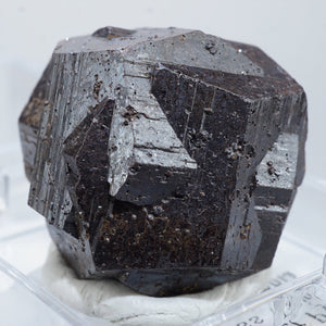 コロンビア産 Goethite after Pyrite (パイライト仮晶) 十字貫入双晶