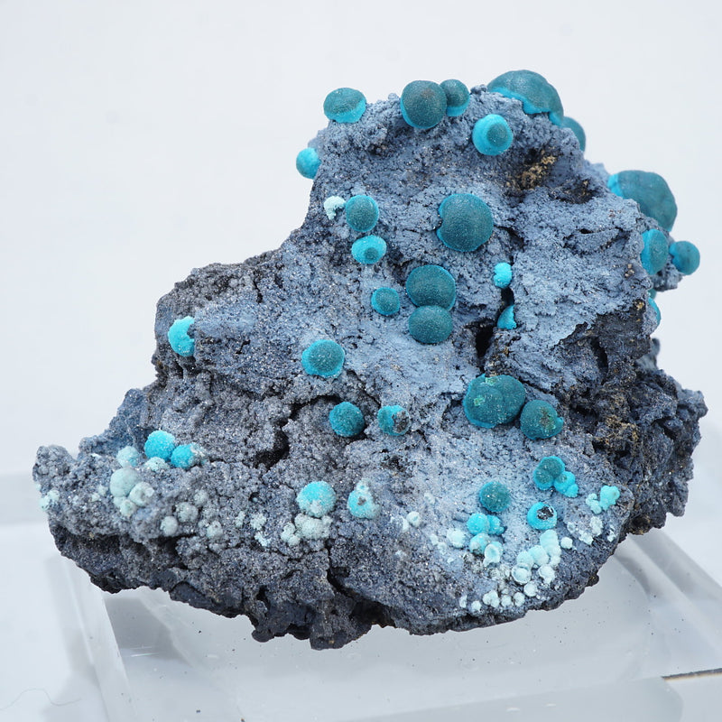 92387-1_800x.jpg?v=1710311958