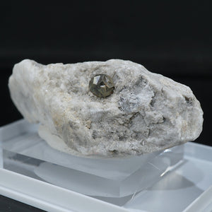 スペイン産 母岩付きパイライト (黄鉄鉱）